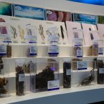 探秘中國海藻生物科技館 生物制品的綠色未來